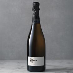 〈レカレド〉トゥロダンモタ2006