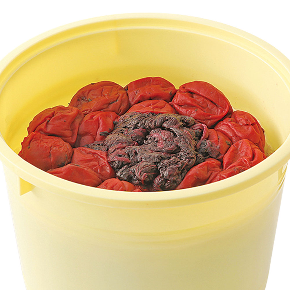 ◆昔ながらのしそ梅干し有機JAS認証