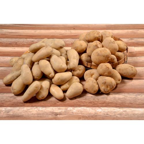 大正メークイン・きたあかり 各3kg