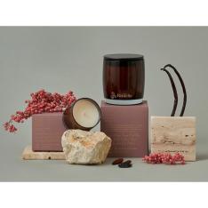 ＜APOTHECA（アポセカ）＞ソイキャンドル スパイスドトンカ