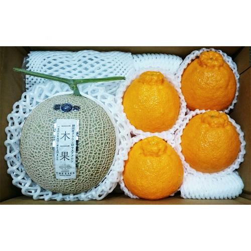 フルーツ福袋（クラウンマスクメロン&デコポン詰合せ）