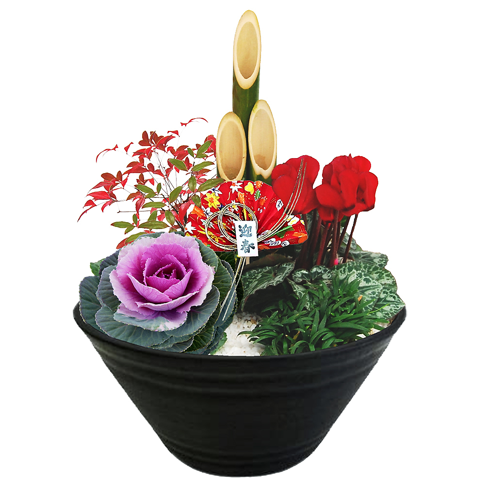 生花 迎春門松寄せ植え 商品詳細 高島屋オンラインストア