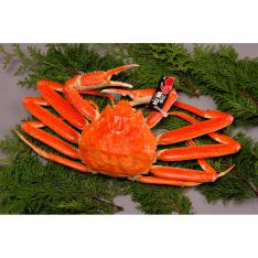 茹で松葉がに（冷凍小1枚）