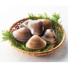 〈海鮮問屋 三忠〉愛知三河湾産天然はまぐり