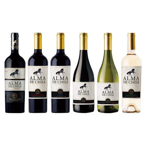 〈チリ〉アルマ・デ・チリ レゼルバ赤白6本セット