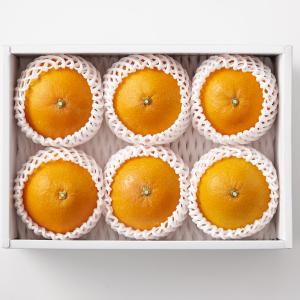 さかもとふるーつ〉熊本県産オーガニックみかん | 商品詳細 | 高島屋