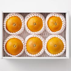 〈愛媛〉紅まどんな【最適な時期に収穫し、順次発送予定】