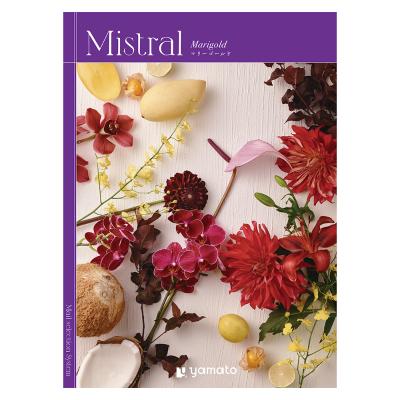 Mistral（ミストラル） | カタログギフト・チケット | リビング