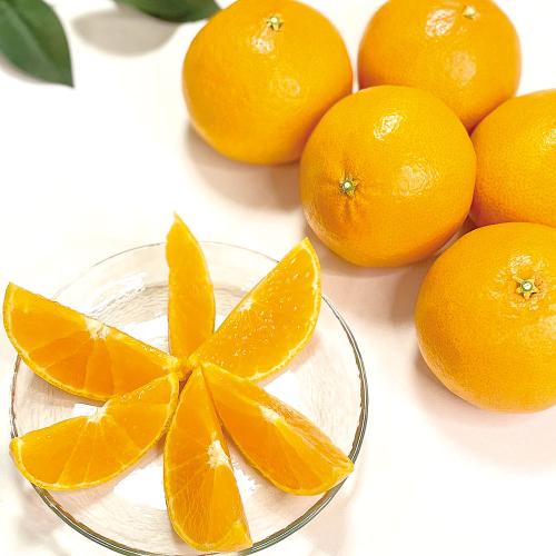 愛媛県産 紅プリンセス