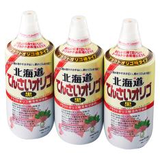 〈加藤美蜂園〉北海道てんさいオリゴ黒3本セット