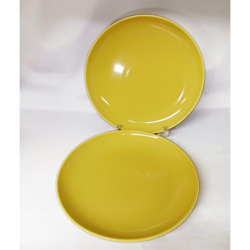 common プレート黄 27cm 2枚セット