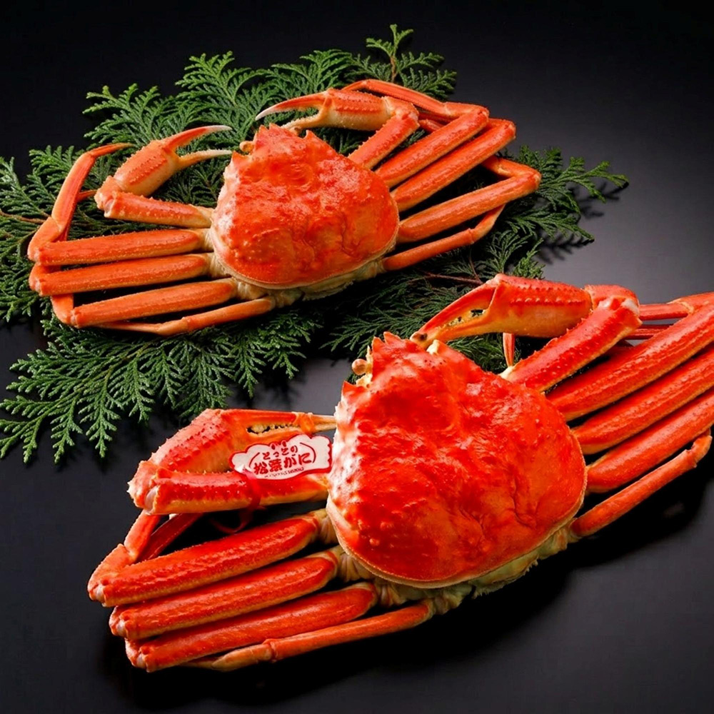 セコガニと松葉かに500g（タグ付）の夫婦（めおと）セット