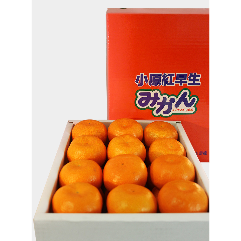 香川県産小原紅早生みかん2 5kg L M 22 30玉 商品詳細 高島屋オンラインストア 香川県産小原紅早生みかん2 5kg L M 22 30玉 商品詳細 高島屋オンラインストア