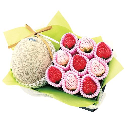 【最適な時期に収穫し、順次発送予定】［静岡県産マスクメロン・紅白いちご］冬の贈り物フルーツギフト12M