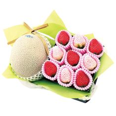 【最適な時期に収穫し、順次発送予定】［静岡県産マスクメロン・紅白いちご］冬の贈り物フルーツギフト12M