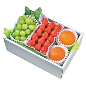 いちご | 旬を愉しむ！ご予約サービス フルーツだより | 特集 | 高島屋