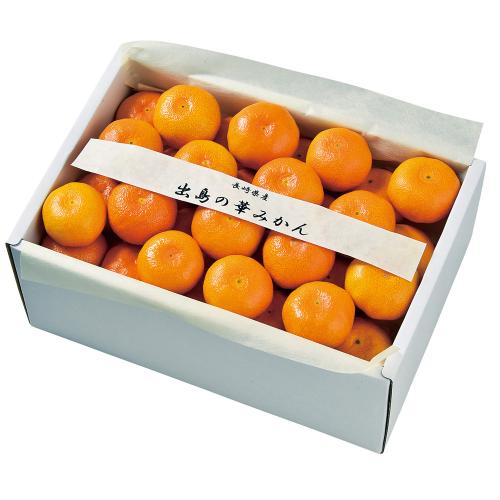 【最適な時期に収穫し、順次発送予定】長崎 させぼ温州みかん「出島の華」2.5kg