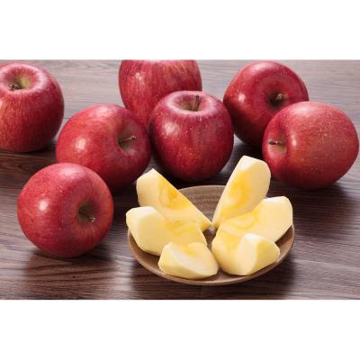 【最適な時期に収穫し、順次発送予定】青森産サンふじ10玉