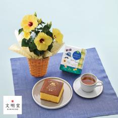 【父の日】生花 ロングライフハイビスカス「イエロー」&文明堂「父の日カステラS」