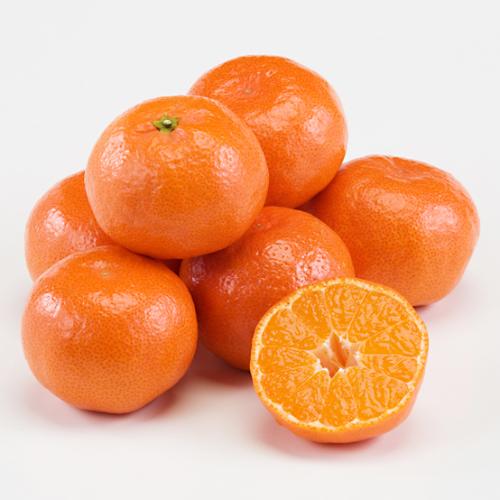 【最適な時期に収穫し、順次発送予定】<さぬき讃フルーツ>さぬき紅みかん2.5kg