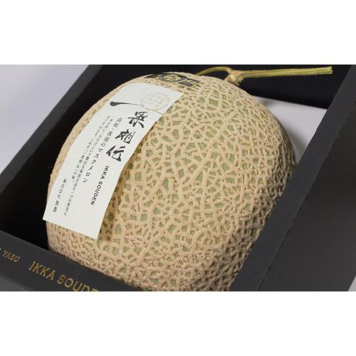 【最適な時期に収穫し、順次発送予定】一果汁相伝特選マスクメロン＋専用小袋付