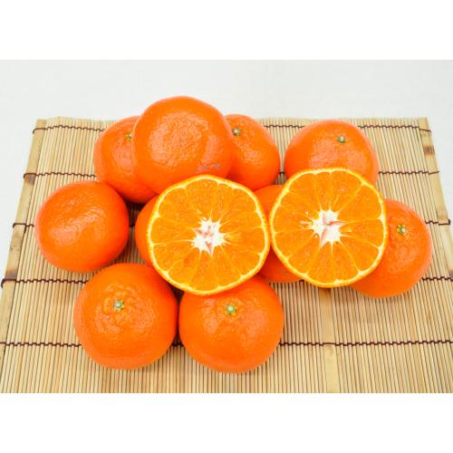 【最適な時期に収穫し、順次発送予定】不動岩果樹園のみはや2.5kg