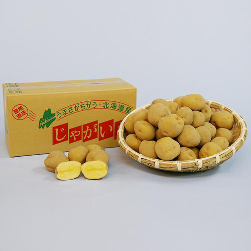 羊蹄山麓産 北あかり