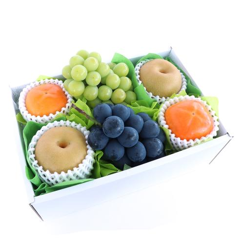 ［シャインマスカット・ナガノパープル・梨・柿］旬のフルーツギフト9B