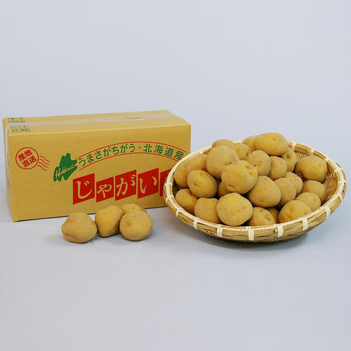 羊蹄山麓産 男爵いも