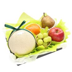 ［マスクメロン・シャインマスカット・柿・西洋梨］旬のフルーツギフト10B