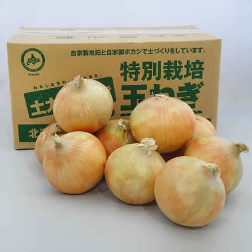 新篠津産 特別栽培玉ねぎ