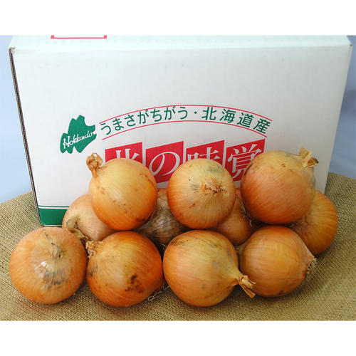 北海道産 札幌黄玉ねぎ