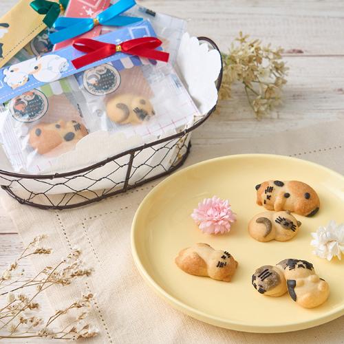 おひるねにゃんこ2個セットA(5個)