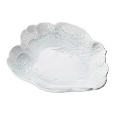 バロックホワイト　シェルディッシュ