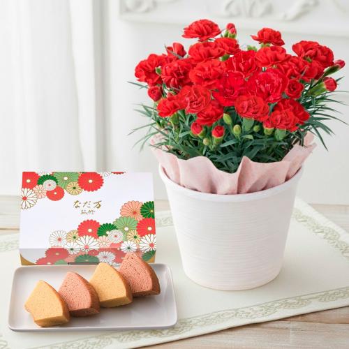 【母の日】生花　カーネーションとなだ万監修バウムクーヘン