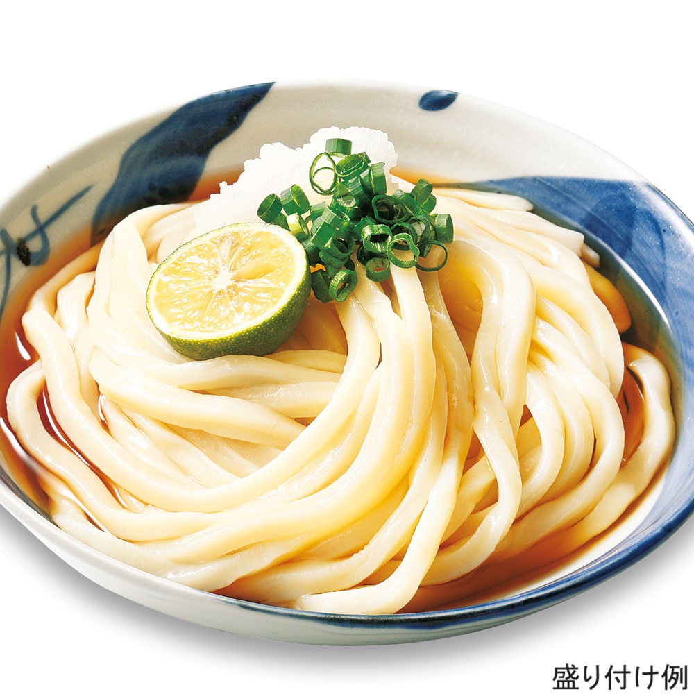本生手打ちうどん(つゆ付)