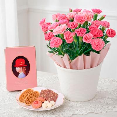 フラワー | リビング・ホビー・スポーツ | 高島屋オンラインストア