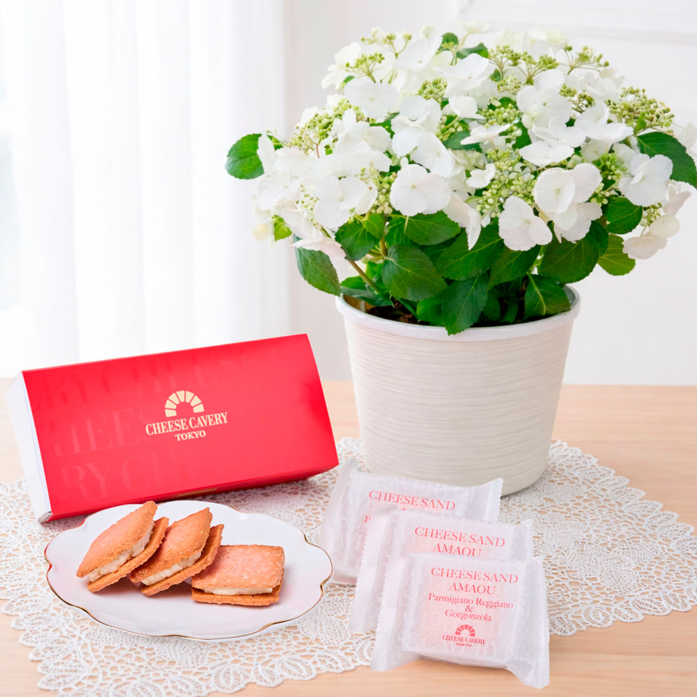 【母の日】生花　ラグランジアとあまおうチーズサンド