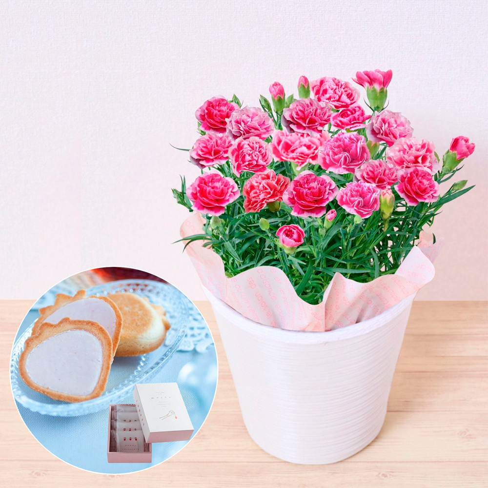 Keita Flower Design】母の日カーネーションと花瓶の