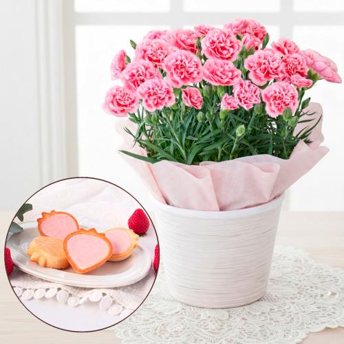 【母の日】生花　カーネーションとあまおういちごタルト