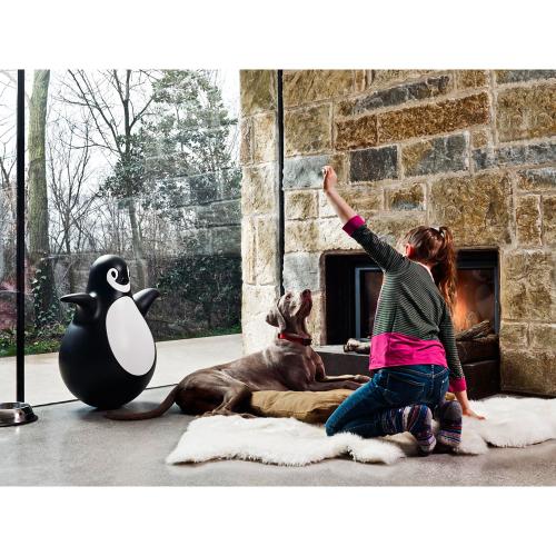 Pingy（ピンギー）