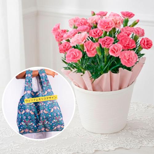 【母の日】生花　カーネーションとエコバッグ