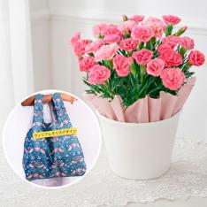 【母の日】生花　カーネーションとエコバッグ