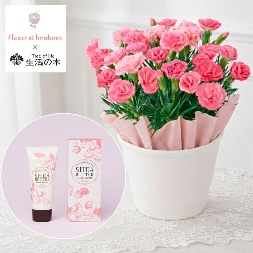 【母の日】生花　カーネーションとハンドクリーム