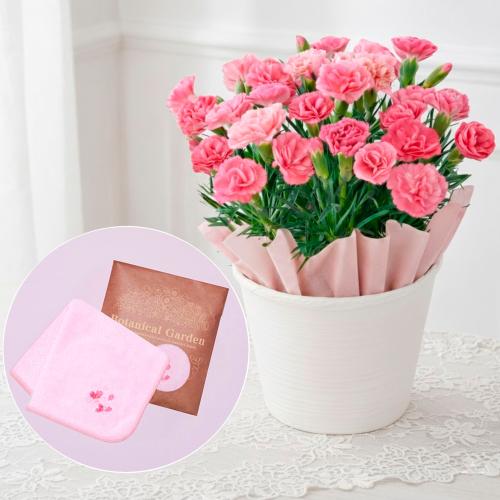 【母の日】生花　カーネーションとハンカチ