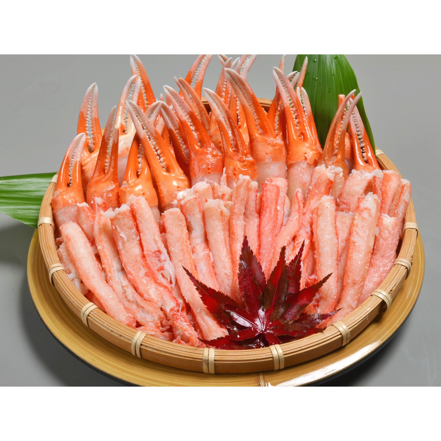 境港 紅ずわい鍋セット