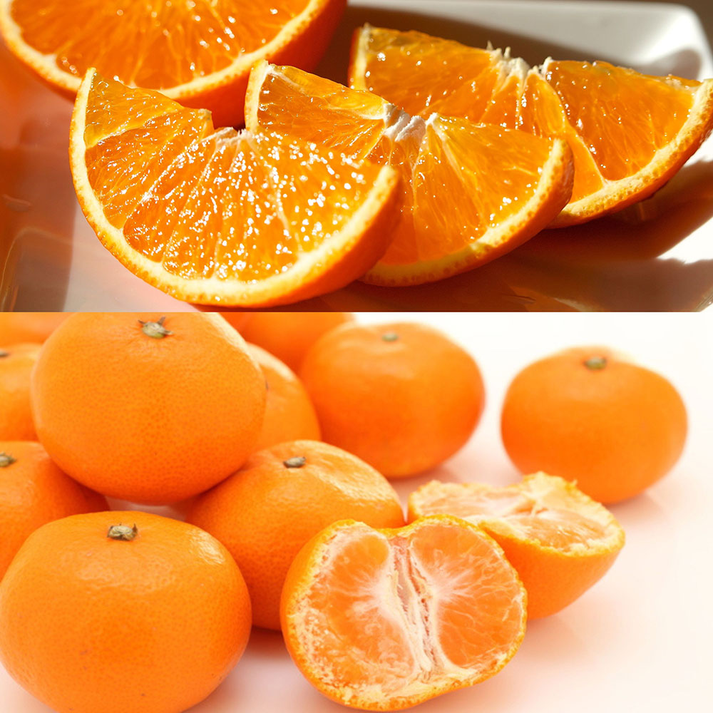 福袋 媛一みかん2.5kg&媛一まどんな2kg