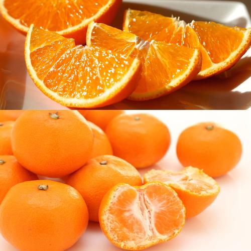 福袋 媛一みかん2.5kg&媛一まどんな2kg