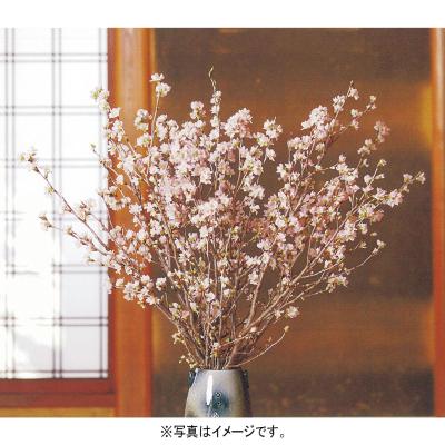 フラワー | リビング・ホビー・スポーツ | 高島屋オンラインストア