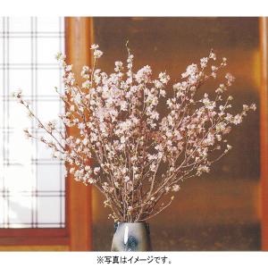 ローズ様 Amazon.co.jp: ゼクス Z/X E47-068 鳳雛§継承 黒崎春日 (RR